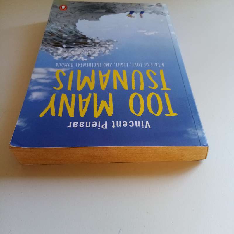 Too Many Tsunamis: A Tale of Love, Light and Incidental Humour  Vincent Pienaar (Paperback)