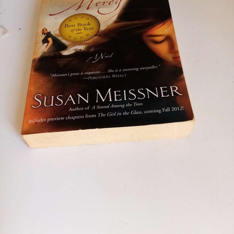The Shape of Mercy by Susan Meissner