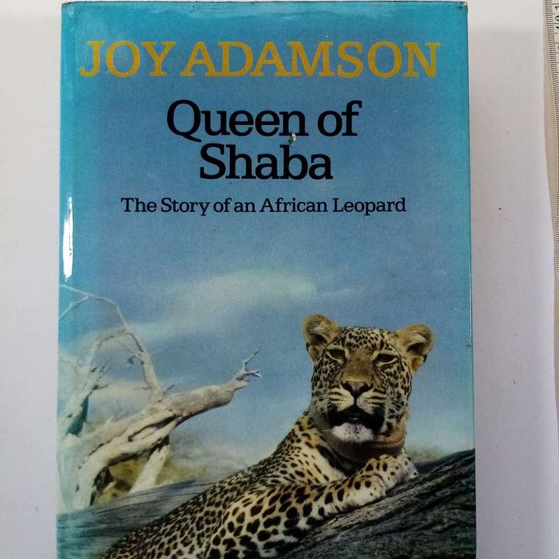 Queen of Shaba: The Story of an African Leopard by Joy Adamson - A Captivating Wildlife Tale
