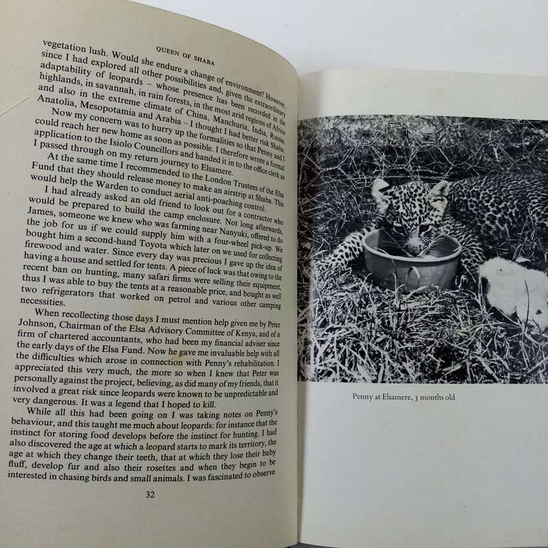 Queen of Shaba: The Story of an African Leopard by Joy Adamson - A Captivating Wildlife Tale