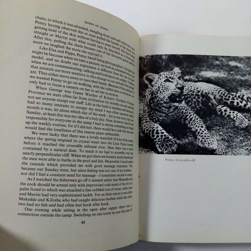 Queen of Shaba: The Story of an African Leopard by Joy Adamson - A Captivating Wildlife Tale