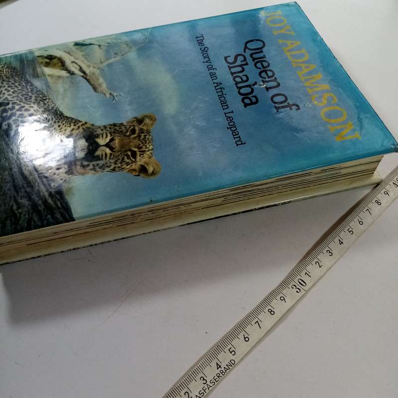 Queen of Shaba: The Story of an African Leopard by Joy Adamson - A Captivating Wildlife Tale