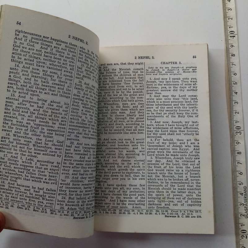 The Book of Mormon  Religious Text