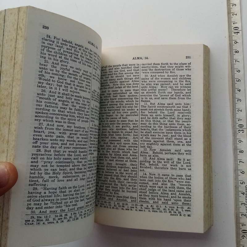 The Book of Mormon  Religious Text