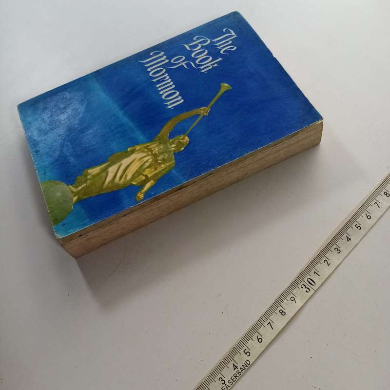 The Book of Mormon  Religious Text