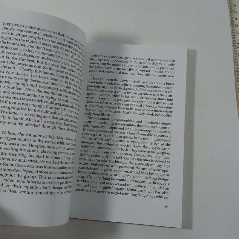The Mind of a Fox  Chantell Ilbury (Paperback)