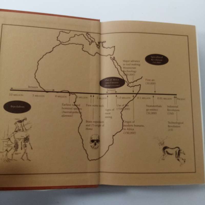 Origins Reconsidered by Richard Leakey & Roger Lewin  Human Evolution & Anthropology