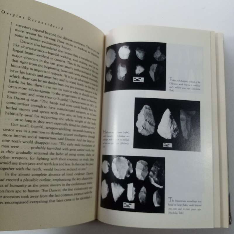 Origins Reconsidered by Richard Leakey & Roger Lewin  Human Evolution & Anthropology