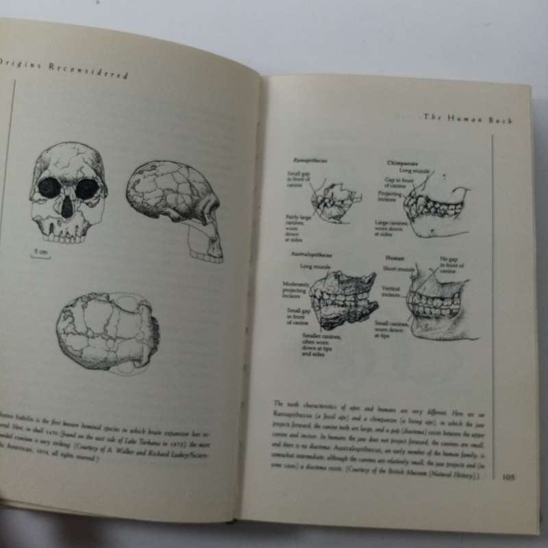 Origins Reconsidered by Richard Leakey & Roger Lewin  Human Evolution & Anthropology