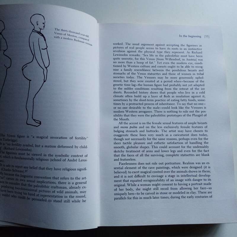 Sex in History by Reay Tannahill  A Fascinating Study of Sex Through the Ages