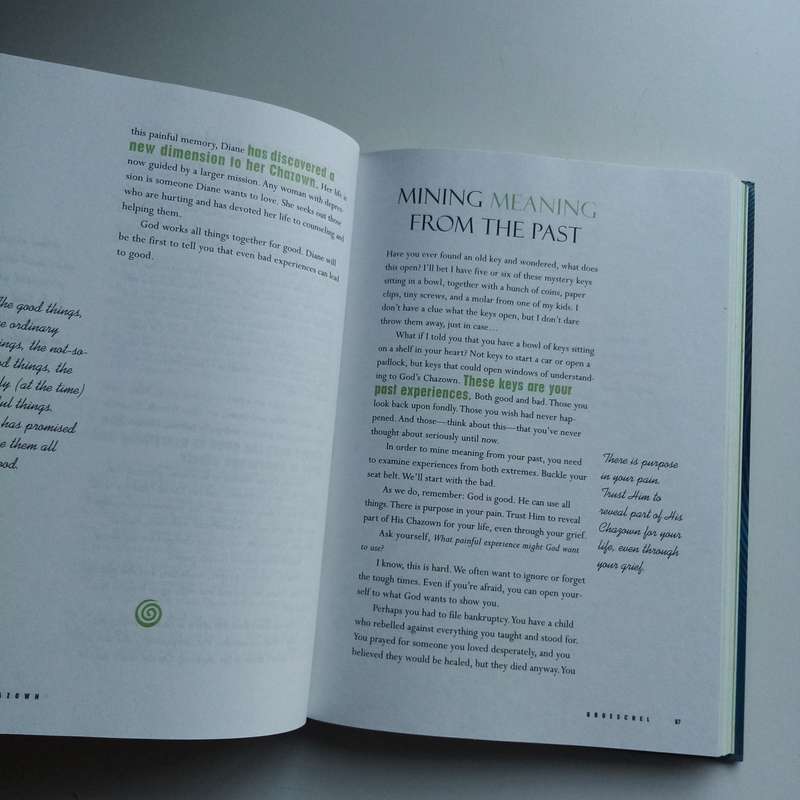 Chazown by Craig Groeschel  Discover Purpose, Passion & Gods Vision for Your Life (With DVD)