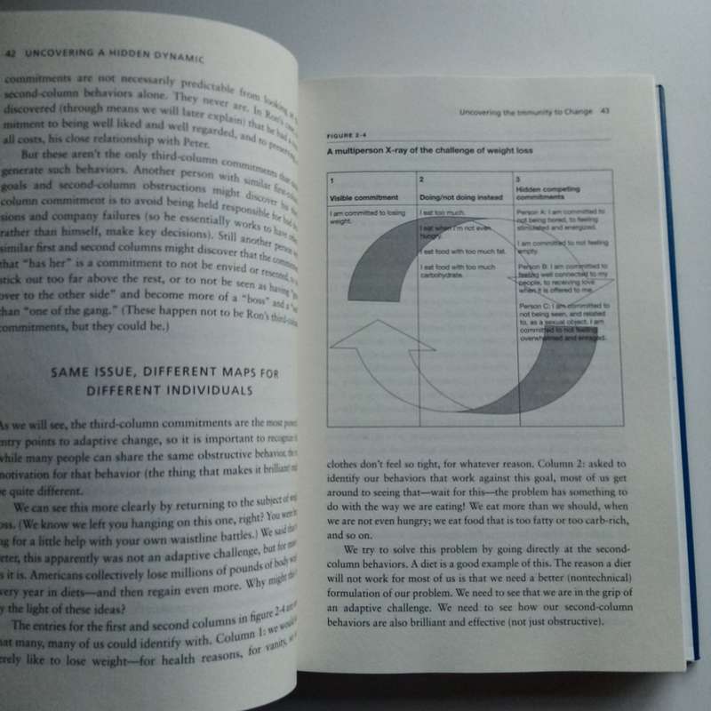 Immunity to Change by Lisa Laskow Lahey & Robert Kegan  Unlock Your Potential
