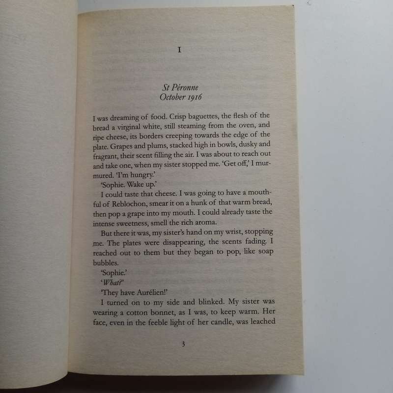 The Girl You Left Behind by Jojo Moyes