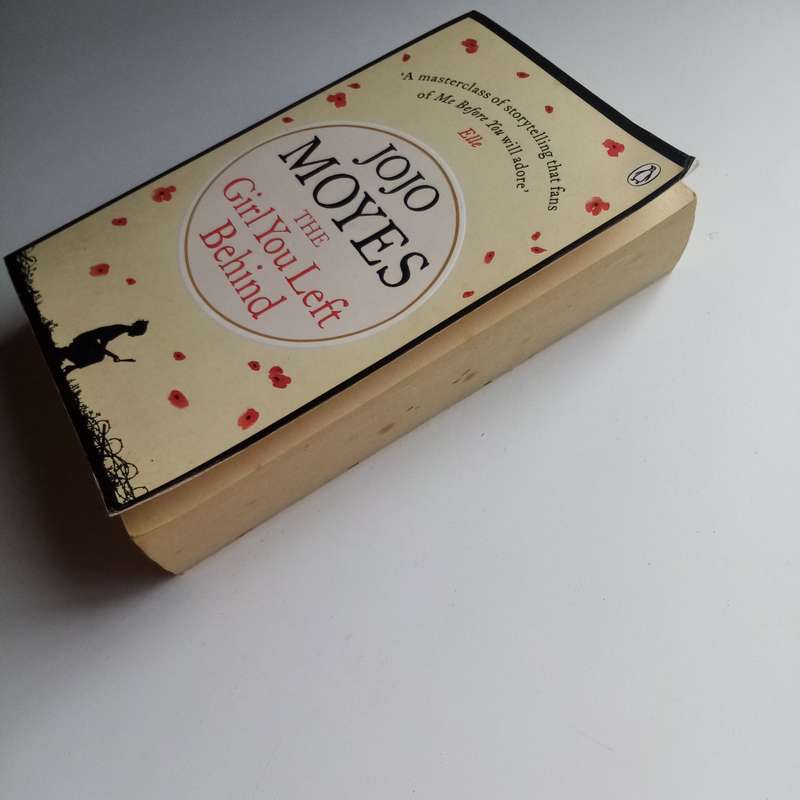 The Girl You Left Behind by Jojo Moyes