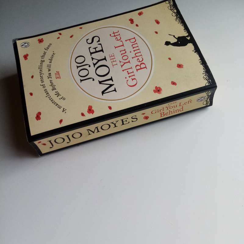 The Girl You Left Behind by Jojo Moyes