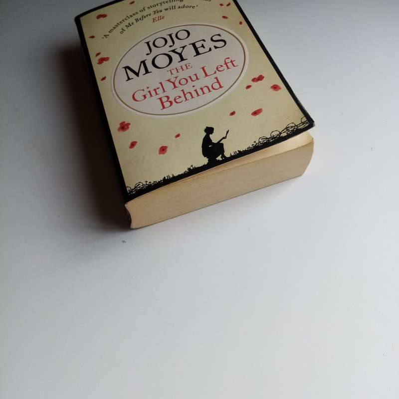 The Girl You Left Behind by Jojo Moyes