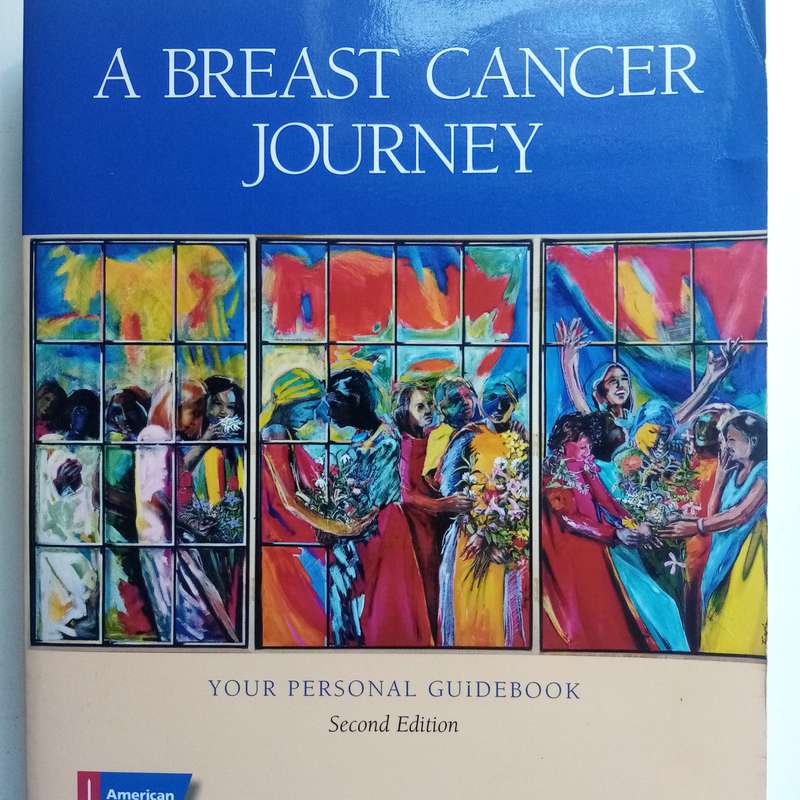 A Breast Cancer Journey: Your Personal Guidebook, Cancer Support, Survivorship, Healing