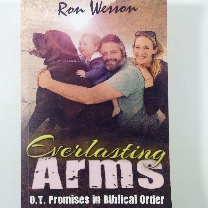Everlasting Arms by Ron Wesson | Old Testament Promises, Daily Devotional, Faith Guide