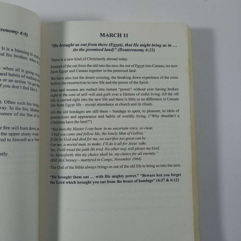 Everlasting Arms by Ron Wesson | Old Testament Promises, Daily Devotional, Faith Guide
