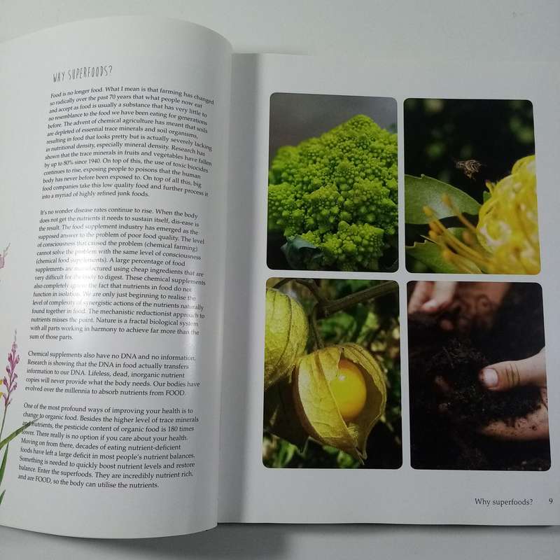 The Magic of Superfoods with Rawlicious Recipes for Radiant Health by Peter and Beryn Daniel