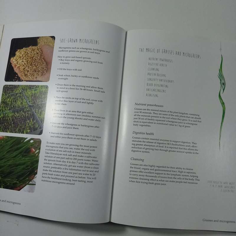 The Magic of Superfoods with Rawlicious Recipes for Radiant Health by Peter and Beryn Daniel