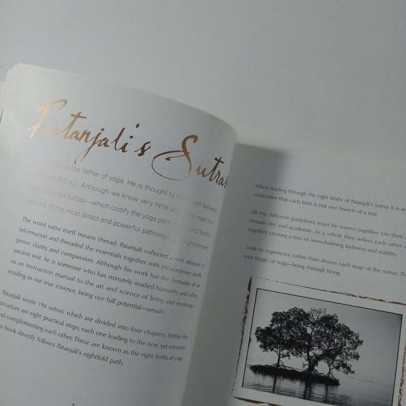 The Spirit of Yoga  Cat de Rham & Michèle Gill | 8 Limbs of Yoga, Illustrated Guide