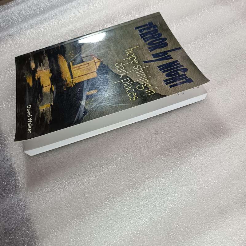 Terror by Night by David Walker | Depression, Hope, Christian Recovery