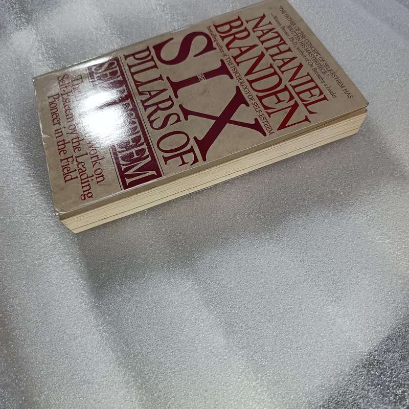 The Six Pillars of SelfEsteem by Nathaniel Branden | Foundations for Confidence & Growth