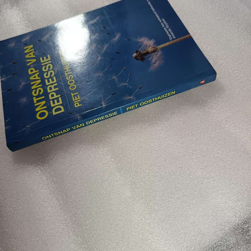 Ontsnap van Depressie deur Piet Oosthuizen | Afrikaanse selfhelp, geestesgesondheid