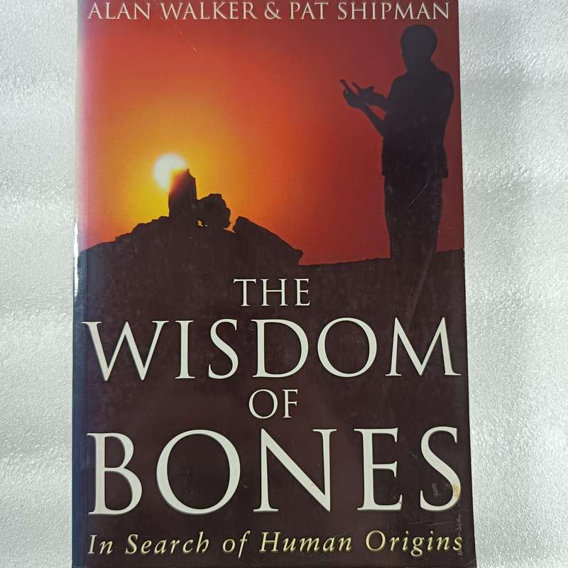 The Wisdom of the Bones by Alan Walker & Pat Shipman | Homo erectus, Nariokotome Boy Insight