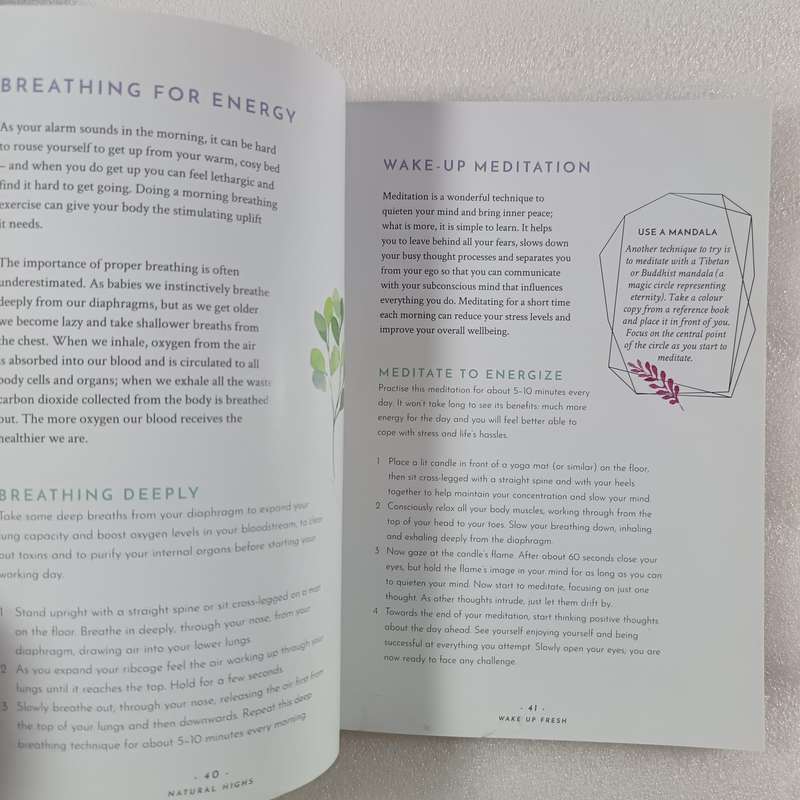 Natural Highs: Instant Energizers for Body and Soul by Mary Lambert | 70 Remedies & Techniques