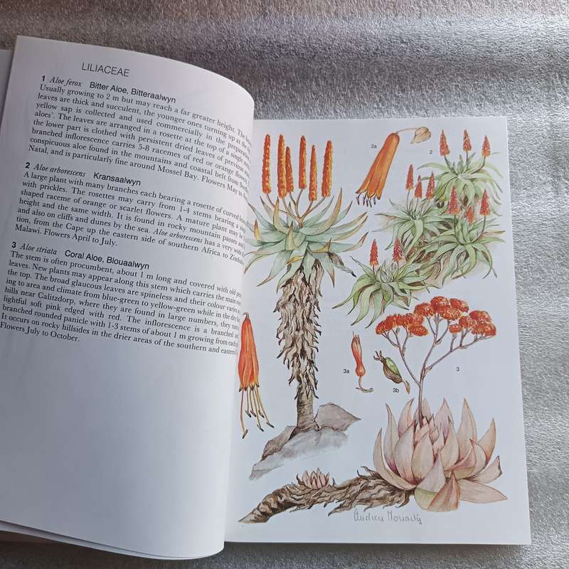 Outeniqua, Tsitsikamma & Eastern Little Karoo by Audrey Moriarty | South African Wild Flower Guide 2