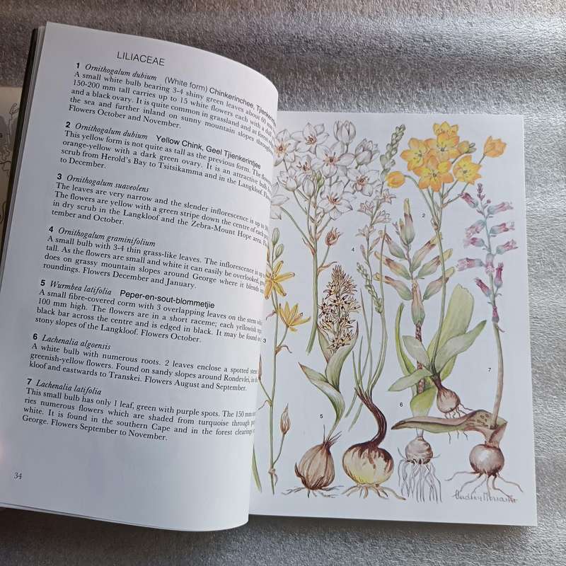 Outeniqua, Tsitsikamma & Eastern Little Karoo by Audrey Moriarty | South African Wild Flower Guide 2