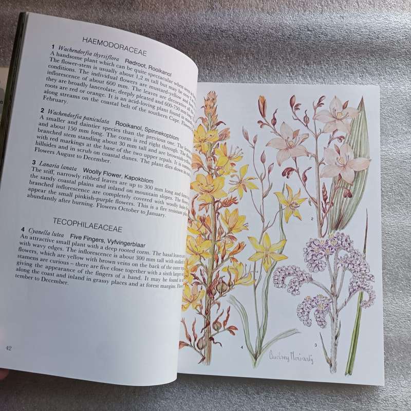 Outeniqua, Tsitsikamma & Eastern Little Karoo by Audrey Moriarty | South African Wild Flower Guide 2
