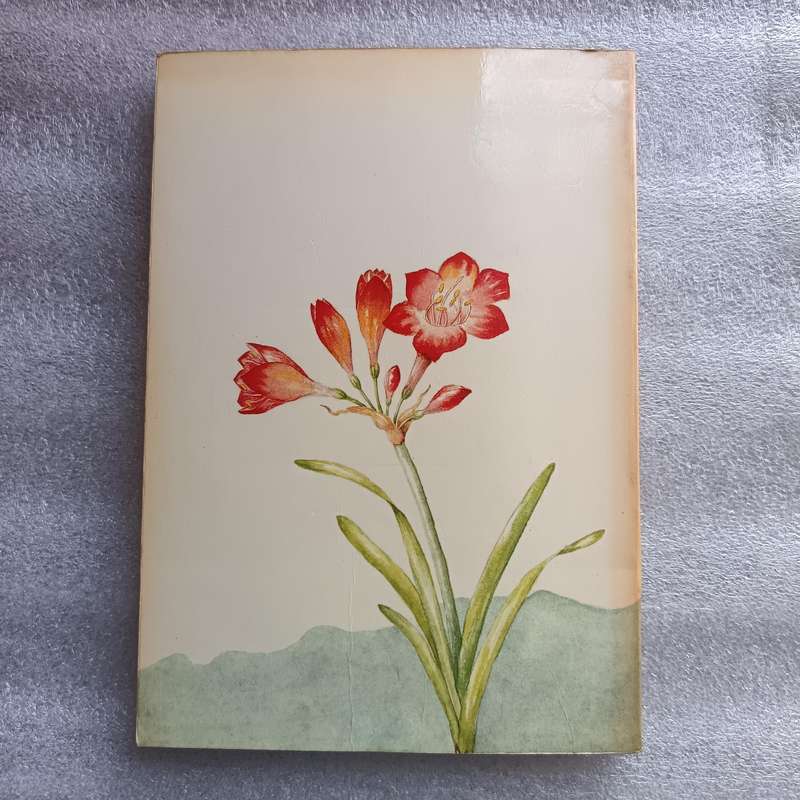 Outeniqua, Tsitsikamma & Eastern Little Karoo by Audrey Moriarty | South African Wild Flower Guide 2
