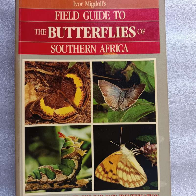 Field Guide to the Butterflies of Southern Africa by Ivor Migdoll | 620+ Photographs & 232 Species