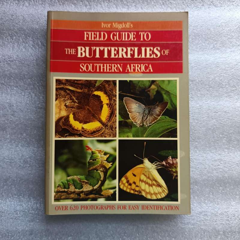 Field Guide to the Butterflies of Southern Africa by Ivor Migdoll | 620+ Photographs & 232 Species