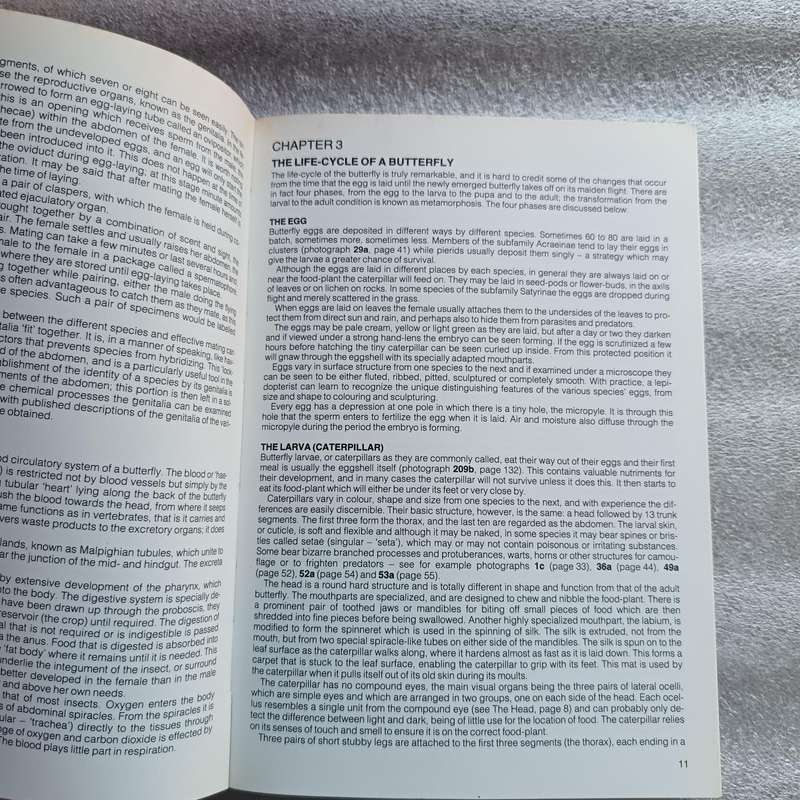 Field Guide to the Butterflies of Southern Africa by Ivor Migdoll | 620+ Photographs & 232 Species