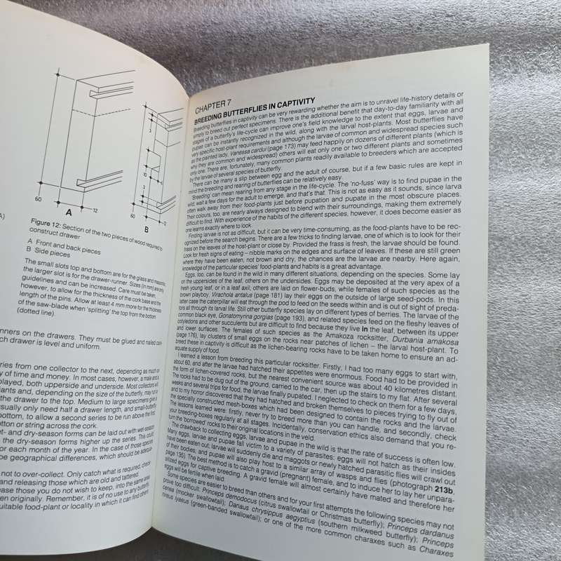 Field Guide to the Butterflies of Southern Africa by Ivor Migdoll | 620+ Photographs & 232 Species