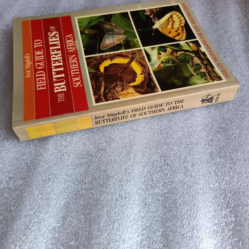 Field Guide to the Butterflies of Southern Africa by Ivor Migdoll | 620+ Photographs & 232 Species