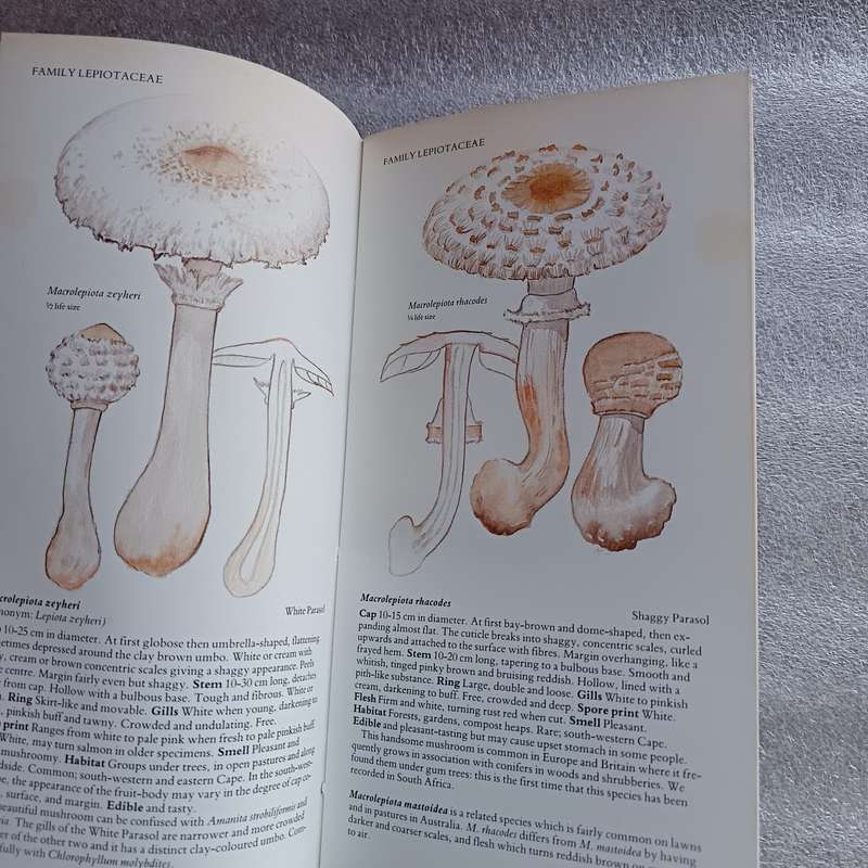 A Field Guide to the Mushrooms of South Africa by Hilda Levin, Margo Branch, Simon Rappoport & Derek