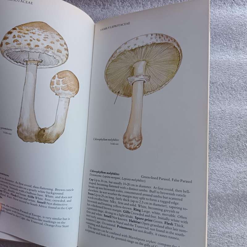 A Field Guide to the Mushrooms of South Africa by Hilda Levin, Margo Branch, Simon Rappoport & Derek