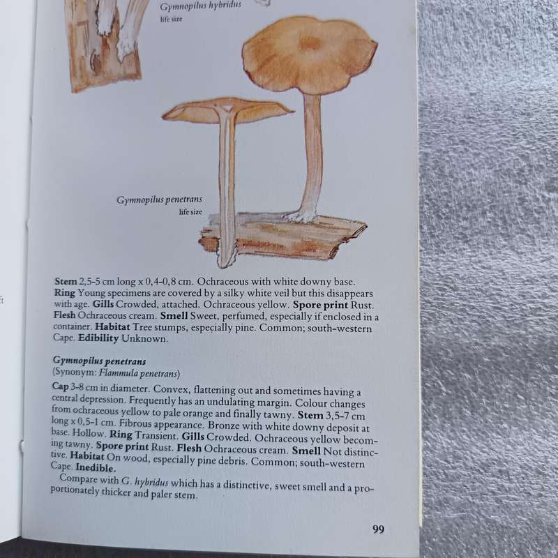A Field Guide to the Mushrooms of South Africa by Hilda Levin, Margo Branch, Simon Rappoport & Derek