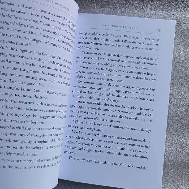 Jamie James and the Curse of the Ancestors by Roy Aronson | Teen Adventure, African Mysticism