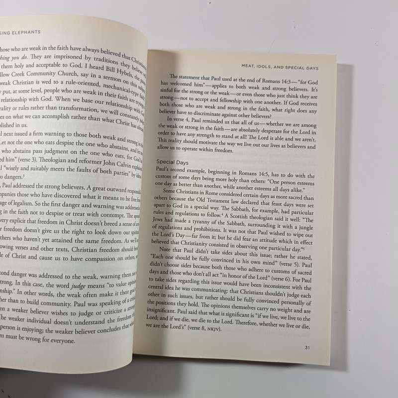 Chasing Elephants by Brent Crowe | Christian Ethics, Gray Areas, Teen & Young Adult Faith