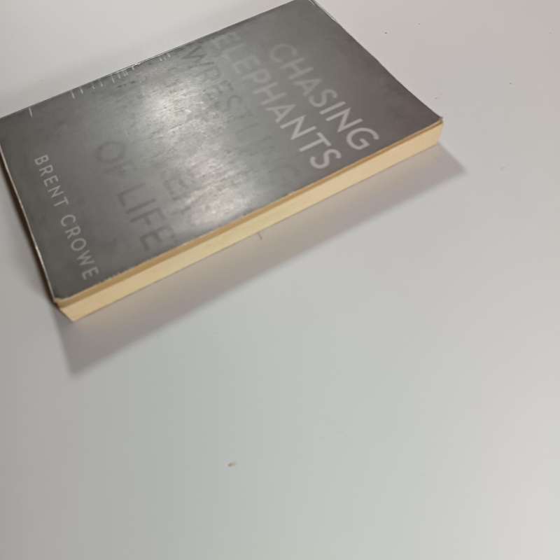 Chasing Elephants by Brent Crowe | Christian Ethics, Gray Areas, Teen & Young Adult Faith