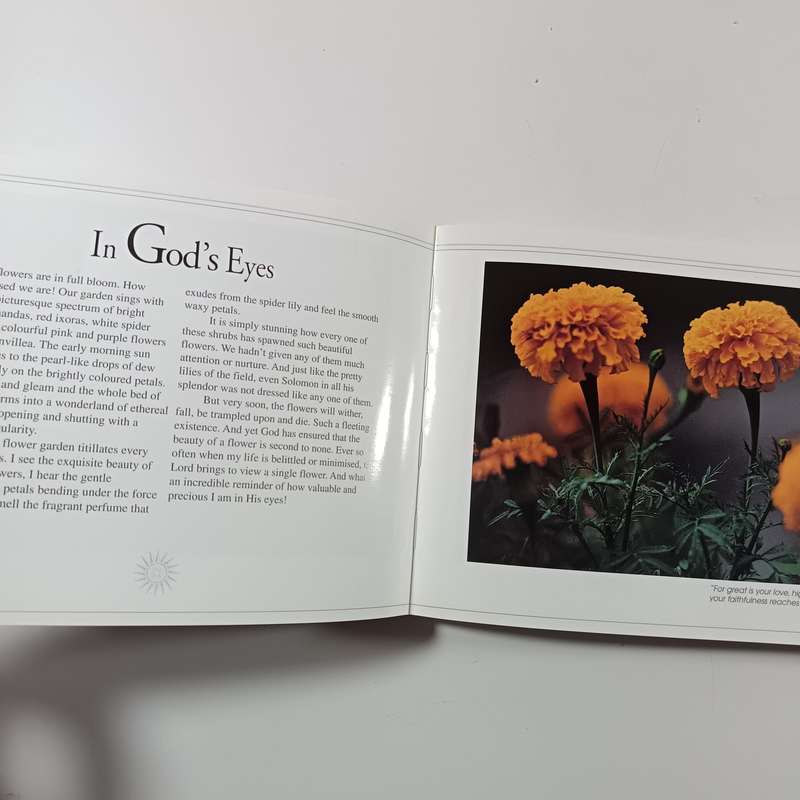 A Ray of Hope by Daniel T.S. Kon | Christian Inspiration, Faith, Encouragement, Devotional