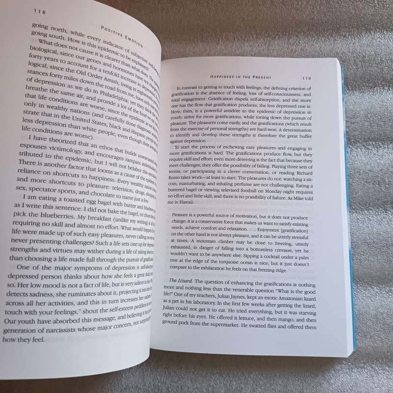 Authentic Happiness - Martin Seligman - Psychology & Positive Thinking Book