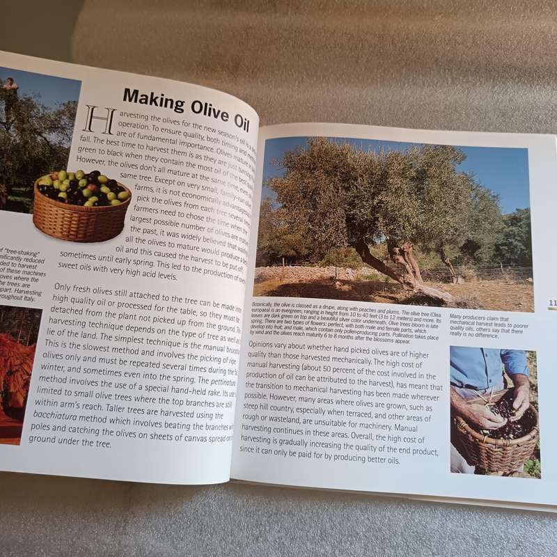 Olive Oil: An Italian Pantry by Leonardo Romanelli  Fully Illustrated Hardcover Guide