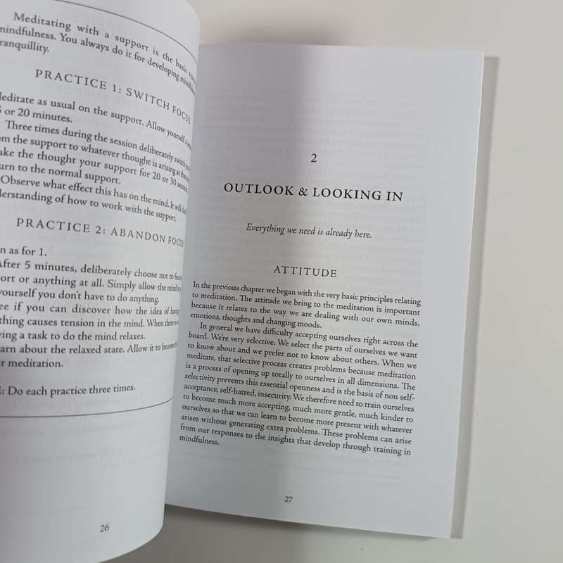 Diamond Mind: A Psychology of Meditation by Rob Nairn | Buddhist Psychology & Practical Insight